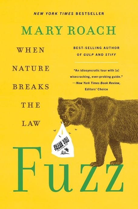 Fuzz : when nature breaks the law