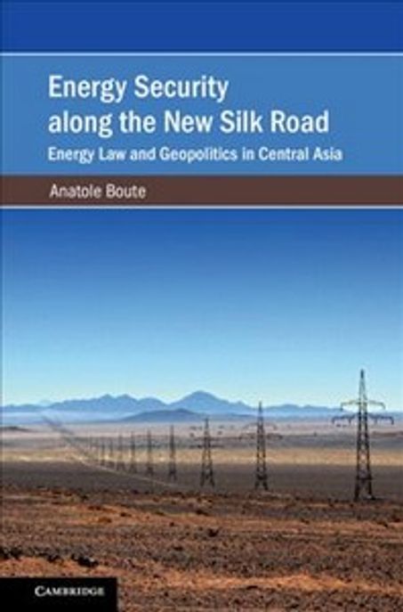 Energy Security along the New Silk Road 양장본 Hardcover (Energy Law and Geopolitics in Central Asia)