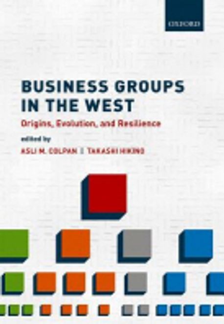 Business Groups in the West 양장본 Hardcover (The Evolutionary Dynamics of Big Business)