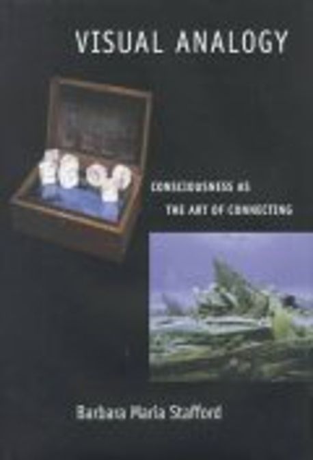 Visual Analogy : Consciousness As the Art of Paperback