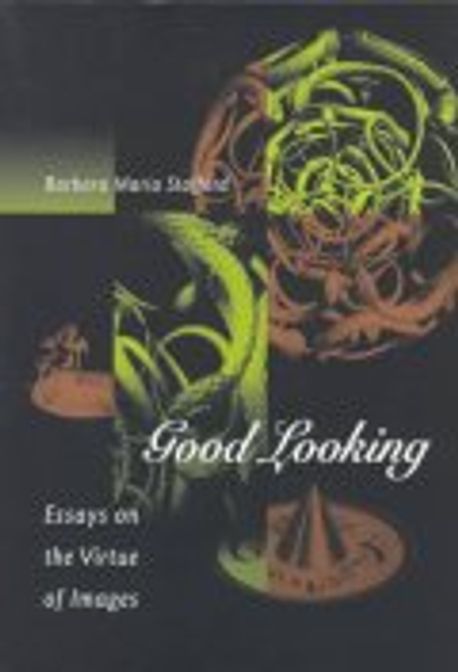 Good Looking:Essays on the Virtue of Images Paperback