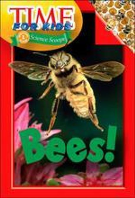 Time for Kids : Bees! Paperback