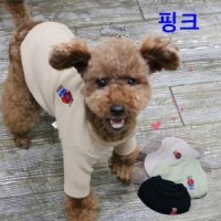 강아지 곰돌이 니트 1P 애견 보온 겨울옷