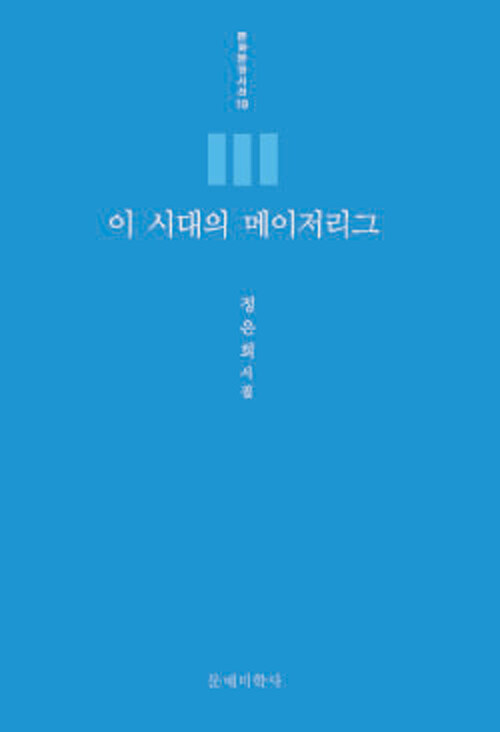 이 시대의 메이저리그 (정은희 시집)