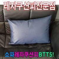 쇼파쿠션피 쇼파쿠션피 쿠션커버 레자커버 50BTT5