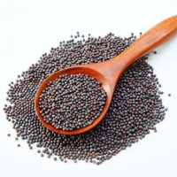 MUSTARD SEED 겨자씨 (인도) 150G/1통  150g  1개