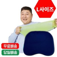 밸런스온 매직시트 강호동 염경환 홈쇼핑 서장훈 폭신한 에어쿠션 치질예방 베타젤 방석 1개