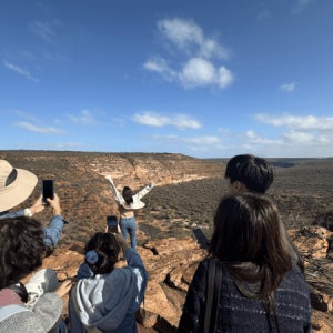 서호주 퍼스 출발 2박 3일 패키지 여행 (칼바리, 피나클스 사막, 핑크호수)