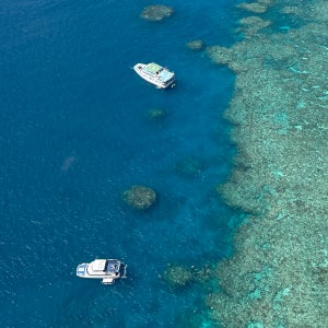호주 케언즈 여행 그레이트 베리어 리프 + 쿠란다 투어 (공항 픽업샌딩)