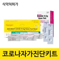 SD바이오센서 래피젠 코로나 자가진단키트 1세트-2T 홈테스트 신속항원진단 COVID-19