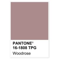 팬톤 파스텔 인테리어 액자 30호 PANTONE-150