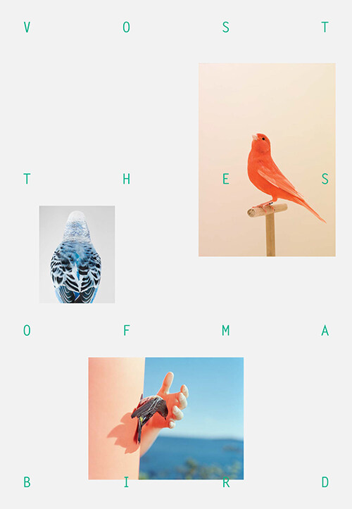 VOSTOK 보스토크 매거진 (격월) : 36호 [2022] (버드송(BIRDSONG))