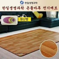 온돌마루 구들장 카페트 전기장판 마루 원 난방 100x183