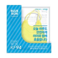 블루인더스 블루본 클래식 2D 컬러마스크 KF94 중형