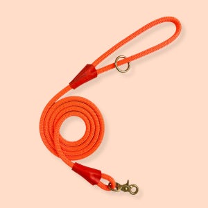오렌지 시그니처 가죽 로프 핸즈프리 강아지 리드줄, 다하운드 (Dahound)