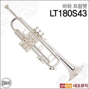 바하 트럼펫 Bach Stradivarius Bb LR180S37