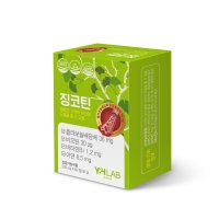 와이치랩 징코틴 500mg x 60정