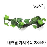 클리오레 내츄럴 가지유목 F 28449