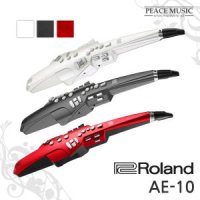 Roland 로랜드 Aerophone AE10 전자 색소폰 AE-10