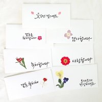 체크스토리 압화 캘리 현금봉투 인쇄 7종 캘리그라피봉투