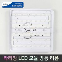 라리앙 LED 리폼 방등 모듈 25W 50W 라리앙 자석 리폼 방등