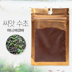 수초씨앗 최저가 가성비상품