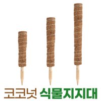 제이앤씨 코코넛 식물 지지대 지주대 수태봉 넝쿨 몬스테라