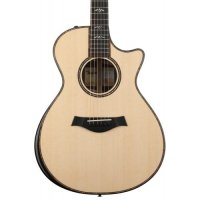 테일러 Taylor 914ce - Natural Sitka Spruce