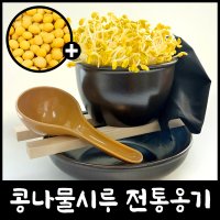 콩나물 키우기 키트 기르기 콩나물 시루 세트