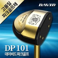 DAVID 데이비드 파크골프 3종세트 파크골프채 왼손 오른손 가방 볼 클럽 DP101 ML353918