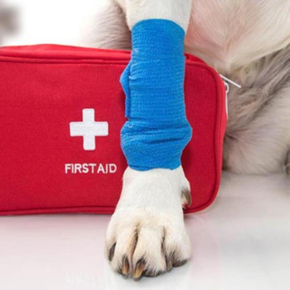 반려동물 응급처치 (Pet First Aid)