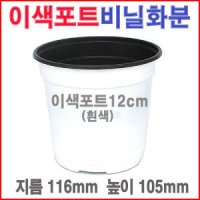 이색포트12cm 비닐 플라스틱 블루베리 모종화분