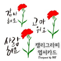 SSing 감사 엽서 캘리그라피카드 편지 미니 카네이션꽃 카드