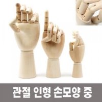 미술 인체묘사 뎃생 관절 인형 손모양 중