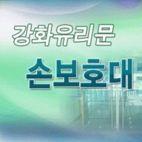 IZONE 강화도어 손보호대 강화도어 손보호대-국산제품 A-200