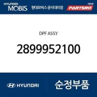 DPF (2899952100)  메가트럭, 메가 트럭 특장, 뉴 파워트럭 4X2