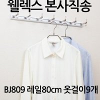 대연 웰렉스 웰렉스 벽부형옷걸이 벽옷걸이 레일80cm 옷걸이9개