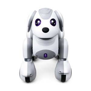 애완용 로봇강아지 아이보 로봇 인공지능