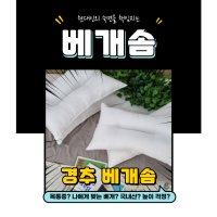 경추 베개솜 베게솜 마이크로 화이바 호텔 지퍼형 숙면 목 통증 낮은 40x60 50x70