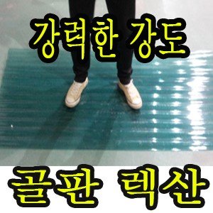 골판렉산 최저가 가성비상품