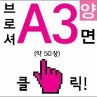 300g 스노우지 A3전단지제작 약 29 x 양면인쇄 약50매 소량리플렛제작