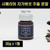 시베리아 시베리안 차가버섯 추출 분말 가루 35g 1통