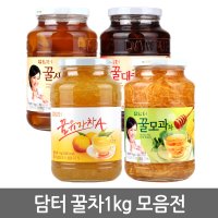 담터 꿀유자차A 1kg 꿀생강 꿀모과 꿀대추 꿀한라봉