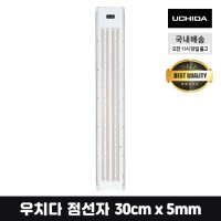 우치다 점선자 스케일 자 30cm x 5mm 건축 조경 시험용 눈금자