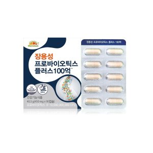 <b>비타민뱅크</b> 갤러리아 VB 장용성 프로바이오틱스 플러스 100억 유산균 2박스 6개월분