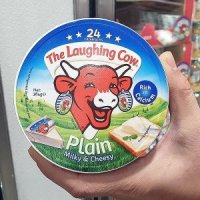 THE LAUGHING COW 래핑카우 플레인 포션 치즈 384g