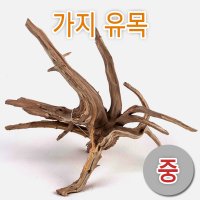 가지유목 중