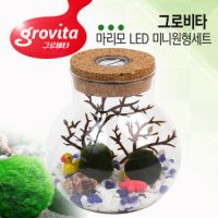 LED 미니 원형 어항세트 마리모 키우기 케이스 수조