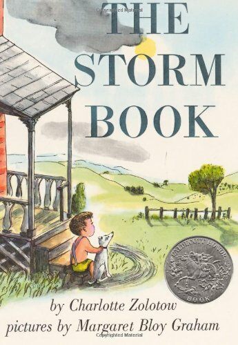 (The)Storm Book