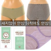 동아구미 비너스 오가닉 면 스트라이프 베이직 위생 생리 팬티 6847 85 민트